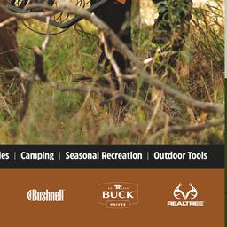 Catalogue