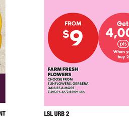 Weekly Flyer