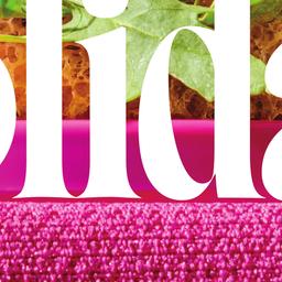 PC Holiday Insiders Book