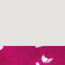 PC Holiday Insiders Book