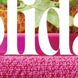 PC Holiday Insiders Book