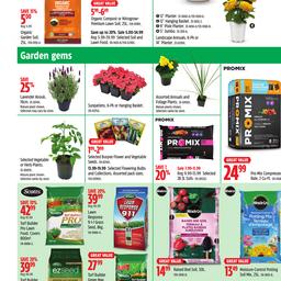 Weekly Flyer