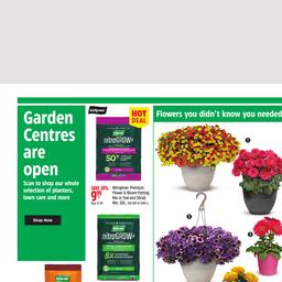 Weekly Flyer