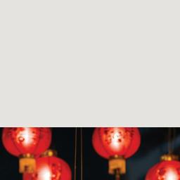 Happy Lunar New Year