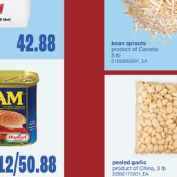 Happy Lunar New Year