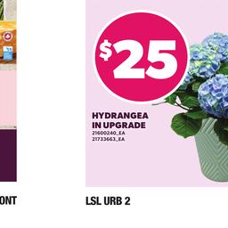 Weekly Flyer - Valid Thursday, May 07 - Wednesday, May 13