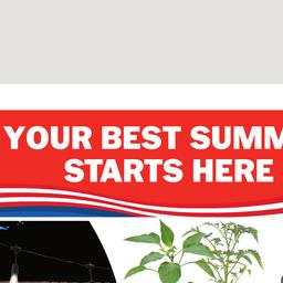 your best summer starts here