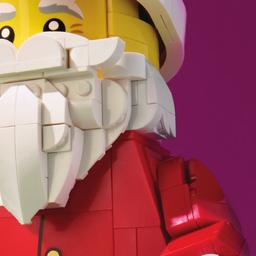 Toy Book - Valid Thursday, October 22 - Wednesday, December 30